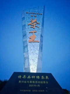 多彩贵州·第十四届中国原生态国际摄影大展 · 博一 的图集
