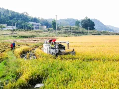 多彩贵州·第十四届中国原生态国际摄影大展 · 博一 的图集