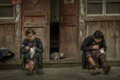 多彩贵州·第十四届中国原生态国际摄影大展 · 牛牛 的图集
