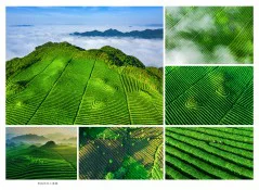 多彩贵州·第十四届中国原生态国际摄影大展 · 光影之旅 的图集