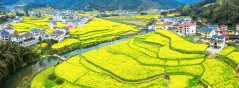 多彩贵州·第十四届中国原生态国际摄影大展 · 光影之旅 的图集