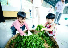 多彩贵州·第十四届中国原生态国际摄影大展 · 杨明亮 的图集