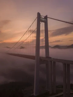2023多彩贵州·第十六届中国原生态国际摄影大展 · 叶子烟 的图集
