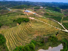多彩贵州·第十四届中国原生态国际摄影大展 · 健摄者 的图集