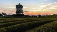 多彩贵州·第十四届中国原生态国际摄影大展 · 汪继业 的图集
