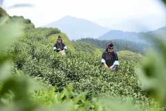 ​2024多彩贵州·第十七届中国原生态国际摄影大展 · 潘邵平 的图集