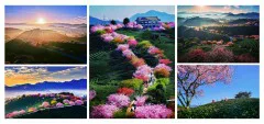 多彩贵州·第十四届中国原生态国际摄影大展 · 阳阳(苏朝阳) 的图集