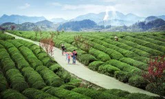 多彩贵州·第十四届中国原生态国际摄影大展 · 秋 的图集