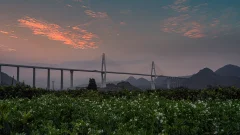 2023多彩贵州·第十六届中国原生态国际摄影大展 · 君荣 的图集