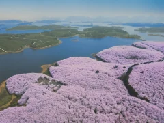 第十五届多彩贵州·中国原生态国际摄影大展·”空中瞰贵州”主题征稿 · 牧渔 的图集
