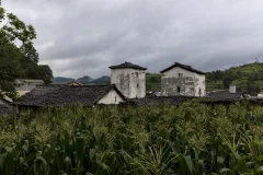 2025多彩贵州·第十八届中国原生态国际摄影大展 · 布丁 的图集