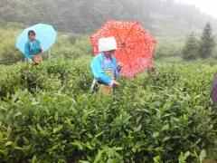 多彩贵州·第十四届中国原生态国际摄影大展 · 山民师 的图集