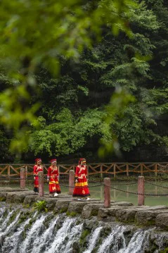多彩贵州·第十四届中国原生态国际摄影大展 · 照相的胡子哥 的图集