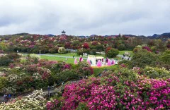 多彩贵州·第十四届中国原生态国际摄影大展 · 范晖 的图集