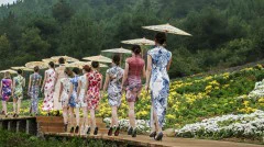 多彩贵州·第十四届中国原生态国际摄影大展 · 岚星 的图集