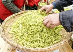多彩贵州·第十四届中国原生态国际摄影大展 · 邓丽梅 的图集