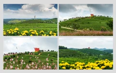 多彩贵州·第十四届中国原生态国际摄影大展 · 大文 的图集