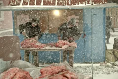 《雪野》