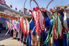 2025多彩贵州·第十八届中国原生态国际摄影大展 · 微尘 的图集