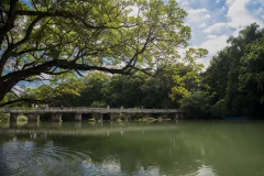 多彩贵州·第十四届中国原生态国际摄影大展 · 王毅 的图集