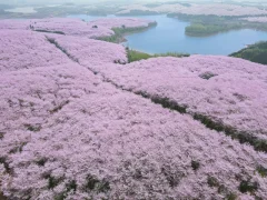 第十五届多彩贵州·中国原生态国际摄影大展·”空中瞰贵州”主题征稿 · 牧渔 的图集