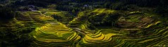 多彩贵州·第十四届中国原生态国际摄影大展 · 汪继业 的图集