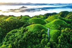 多彩贵州·第十四届中国原生态国际摄影大展 · 周访华 的图集