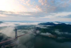 红水河大桥