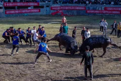 2025多彩贵州·第十八届中国原生态国际摄影大展 · 青瓷 的图集
