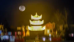 多彩贵州·第十四届中国原生态国际摄影大展 · 知根 的图集