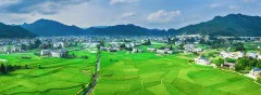 多彩贵州·第十四届中国原生态国际摄影大展 · 光影之旅 的图集