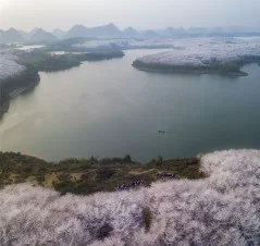 多彩贵州·第十四届中国原生态国际摄影大展 · 叶子烟 的图集
