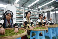 多彩贵州·第十四届中国原生态国际摄影大展 · 凉都小书童 的图集
