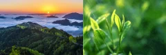 多彩贵州·第十四届中国原生态国际摄影大展 · 朱文军 的图集