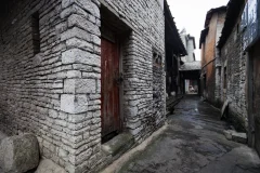 ​2024多彩贵州·第十七届中国原生态国际摄影大展 · 朱进 的图集