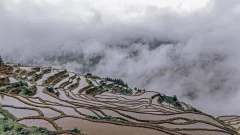 多彩贵州·第十四届中国原生态国际摄影大展 · 知根 的图集