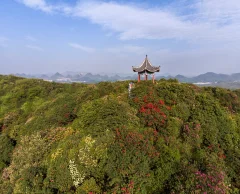 2025多彩贵州·第十八届中国原生态国际摄影大展 · 不鸣 的图集