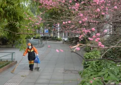 《贵阳市疫情防控》