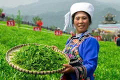 多彩贵州·第十四届中国原生态国际摄影大展 · 鞠 的图集