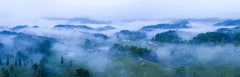 多彩贵州·第十四届中国原生态国际摄影大展 · 山林 的图集