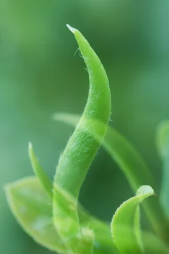 多彩贵州·第十四届中国原生态国际摄影大展 · 小小木 的图集