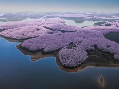 第十五届多彩贵州·中国原生态国际摄影大展·”空中瞰贵州”主题征稿 · 牧渔 的图集