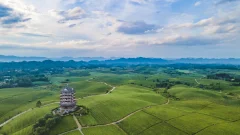 多彩贵州·第十四届中国原生态国际摄影大展 · 方映nic 的图集