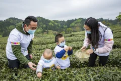 多彩贵州·第十四届中国原生态国际摄影大展 · 张燕 的图集