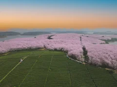 第十五届多彩贵州·中国原生态国际摄影大展·”空中瞰贵州”主题征稿 · 牧渔 的图集