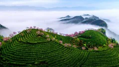 多彩贵州·第十四届中国原生态国际摄影大展 · 周访华 的图集