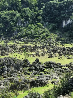 2025多彩贵州·第十八届中国原生态国际摄影大展 · 襟花 的图集