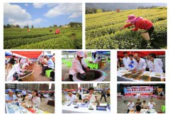 多彩贵州·第十四届中国原生态国际摄影大展 · 寒郊野草 的图集