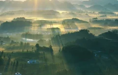 多彩贵州·第十四届中国原生态国际摄影大展 · 高山一棵松 的图集