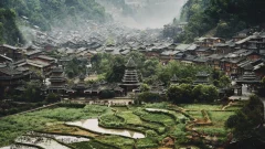 2023多彩贵州·第十六届中国原生态国际摄影大展 · 刘浩然 的图集